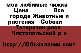 мои любимые чижки › Цена ­ 15 000 - Все города Животные и растения » Собаки   . Татарстан респ.,Чистопольский р-н